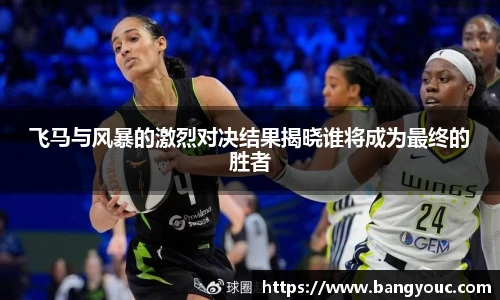 飞马与风暴的激烈对决结果揭晓谁将成为最终的胜者