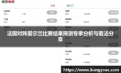 法国对阵爱尔兰比赛结果预测专家分析与看法分享